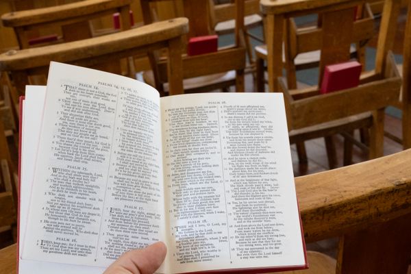Photo 38